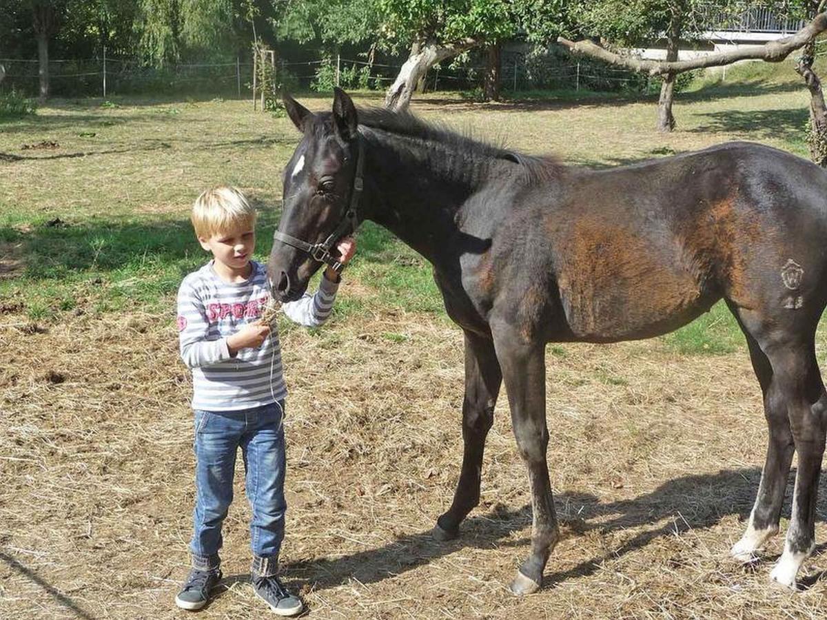 Ferienwohnungen Baust Im Muehlental Eslohe Bagian luar foto